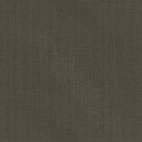 Certainty Swatch Thumbnail