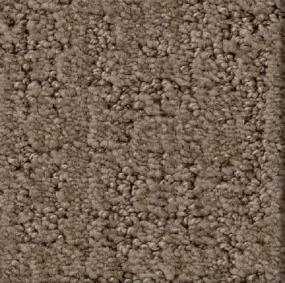 Shadow Colossal - Worn Path Swatch