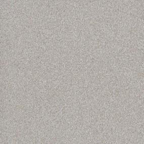 Big Dog - Griffon Swatch