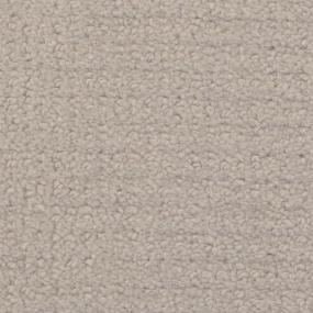 Chinois - Castle Grey Swatch