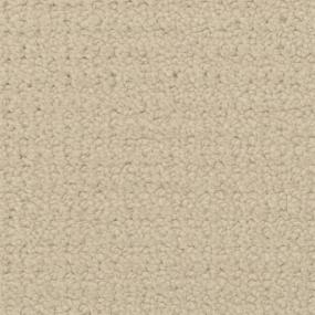 Chinois - Dover Swatch