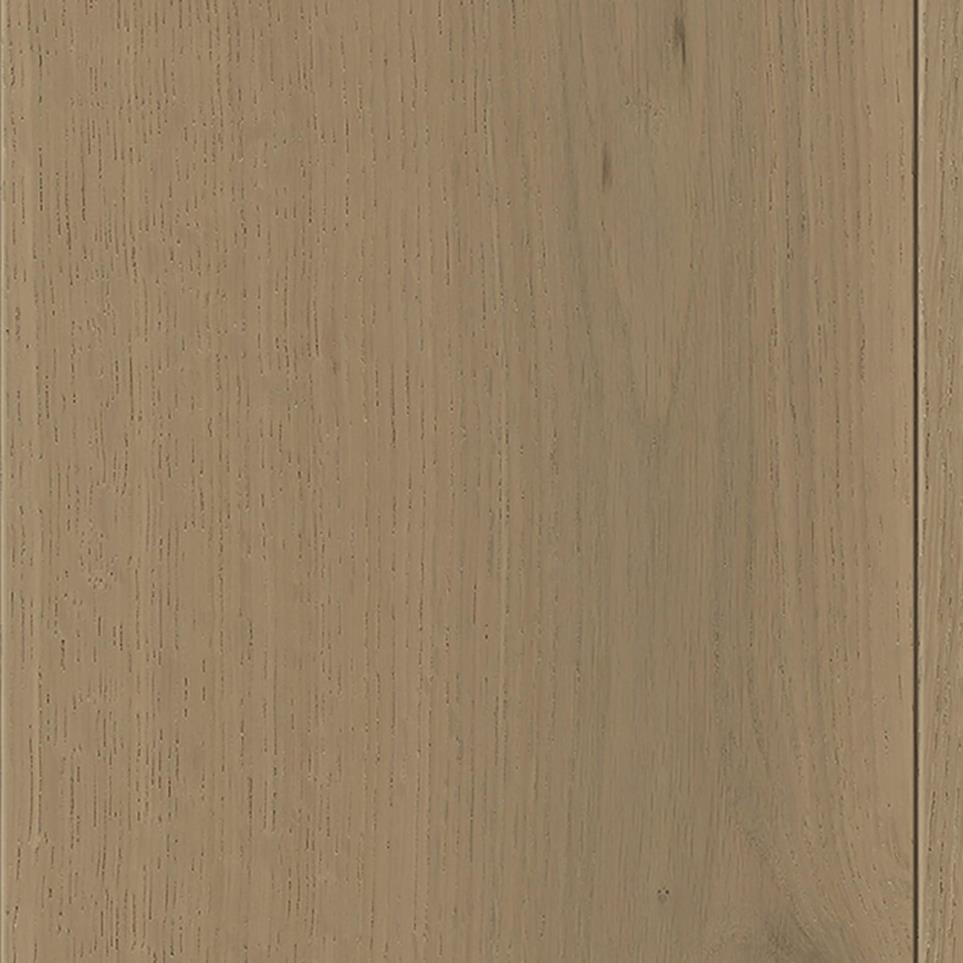 Carob Zoomed Swatch