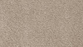 Spacious Solid - Classical Swatch