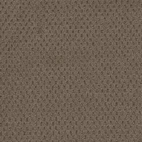 Established Zoomed Swatch