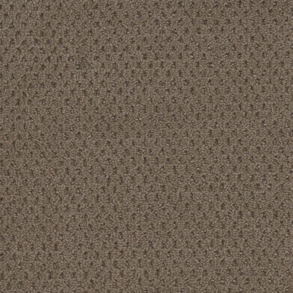 Established Zoomed Swatch