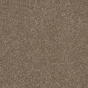 Warm Stone Swatch Thumbnail
