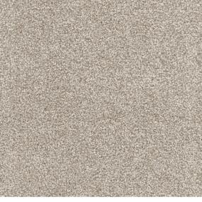 Spaniel Swatch Thumbnail