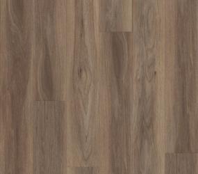 Outright - Saddle Swatch