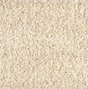 Shaggy Plush - Prosecco Swatch