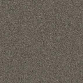 Avalon Bay - Sable Swatch