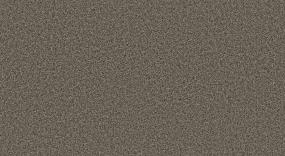 Camp Trail I - Valley Dust Swatch