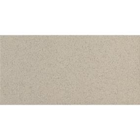 Harmonist Rectangle 12X24 Mt Grp1 - Tranquil Matte Swatch