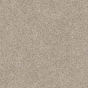Top Dog - Pomeranian Swatch