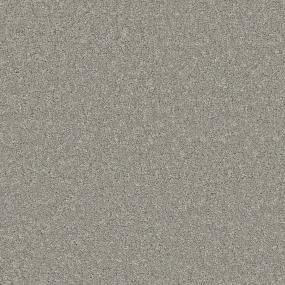Ashes Zoomed Swatch