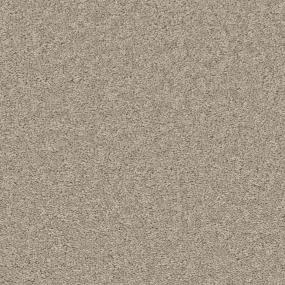 Driftwood Zoomed Swatch