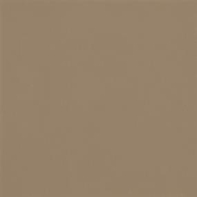 Elemental Tan Glossy Swatch