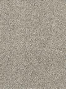Ash Swatch Thumbnail