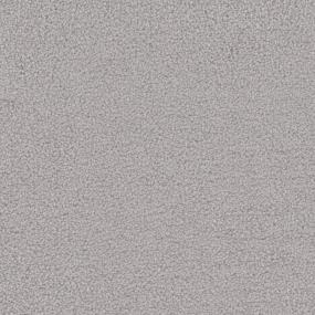 Chrome Zoomed Swatch