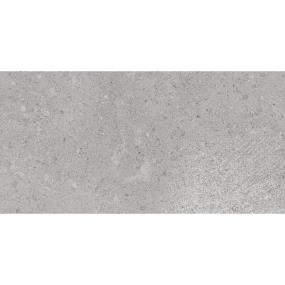 Dignitary Rectangle 12X24 Mt - Eminence Grey Matte Swatch