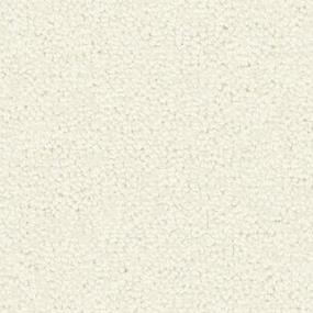 Fine White Swatch