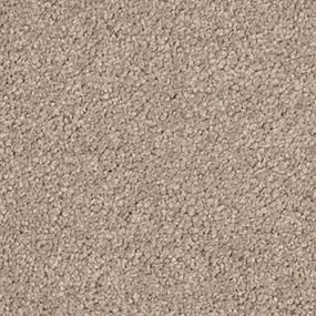Charismatic Beauty - Khaki Swatch