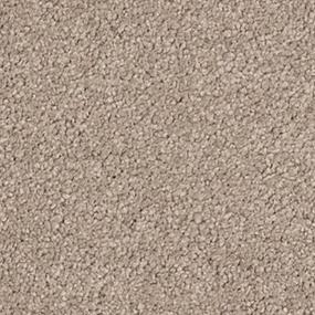 Khaki Zoomed Swatch