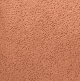 Coral Swatch Thumbnail