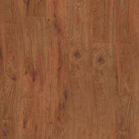 Batam Plus 6 - Rosewood Swatch