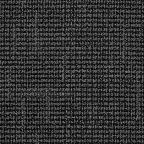 Tabby - Felix Swatch