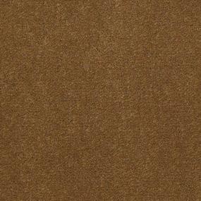 Caramel Zoomed Swatch