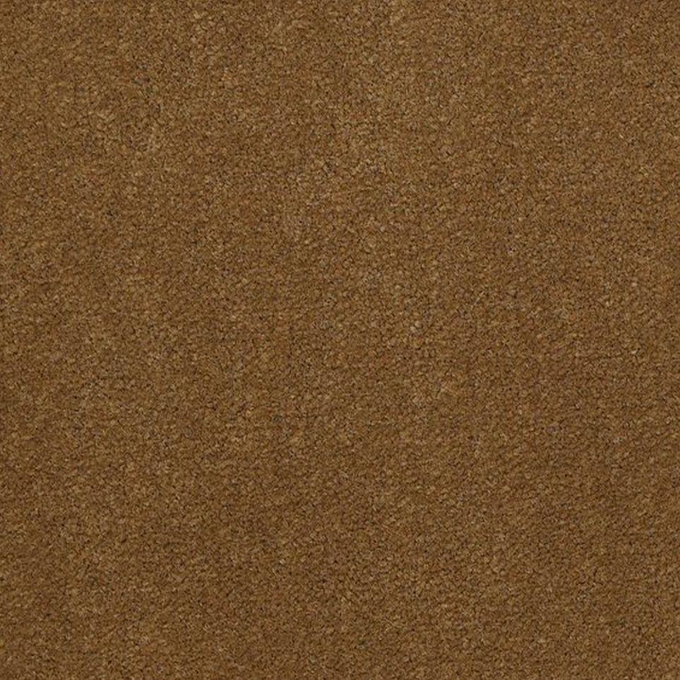 Caramel Zoomed Swatch