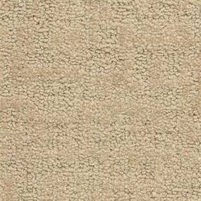 Studio Zoomed Swatch