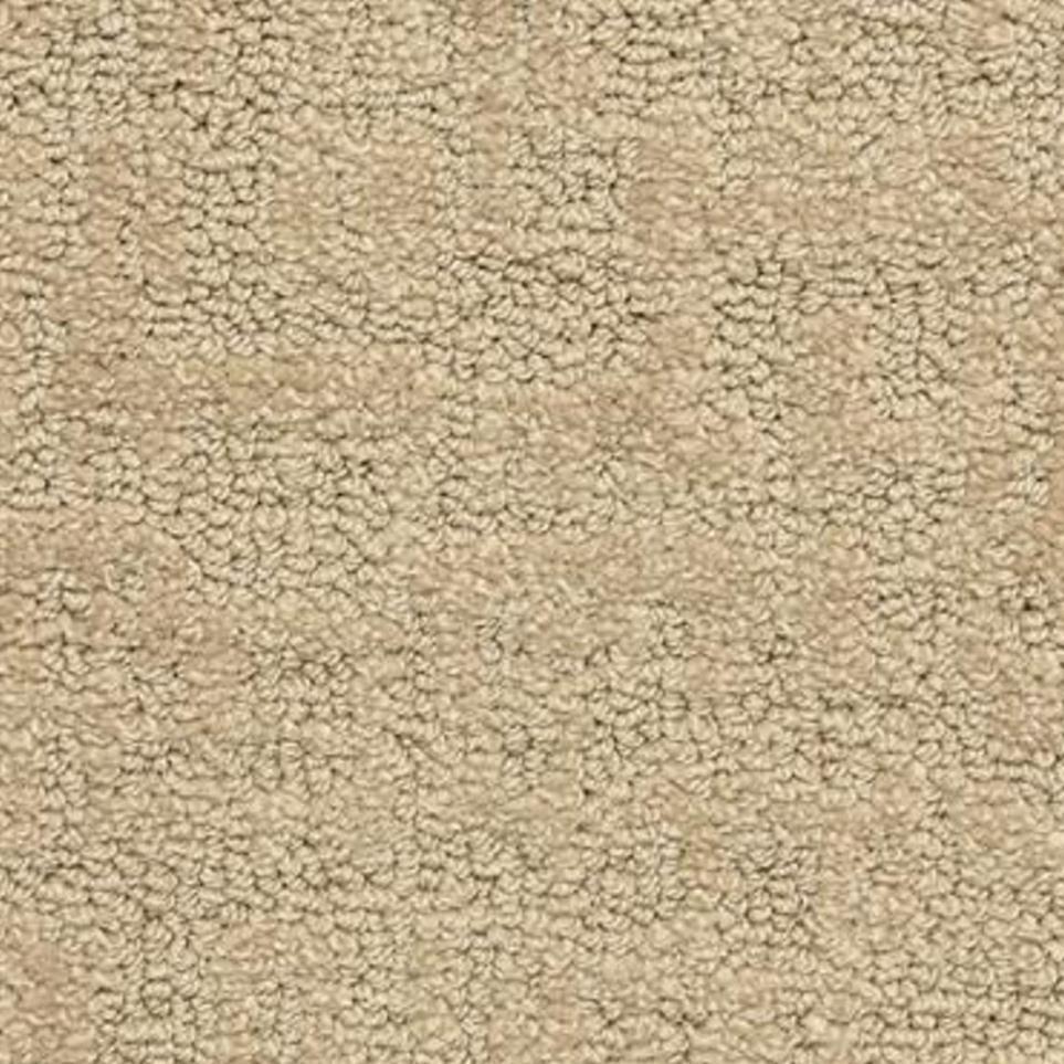 Studio Zoomed Swatch