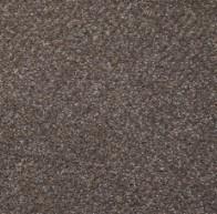 Patience Swatch Thumbnail