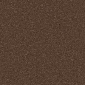 Russet Zoomed Swatch