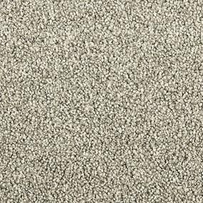 Whisper Willow - Northern Chill Swatch