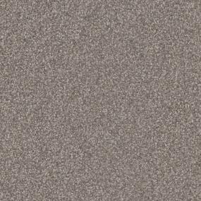 Bark Zoomed Swatch
