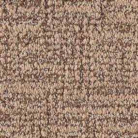 Driftwood Zoomed Swatch