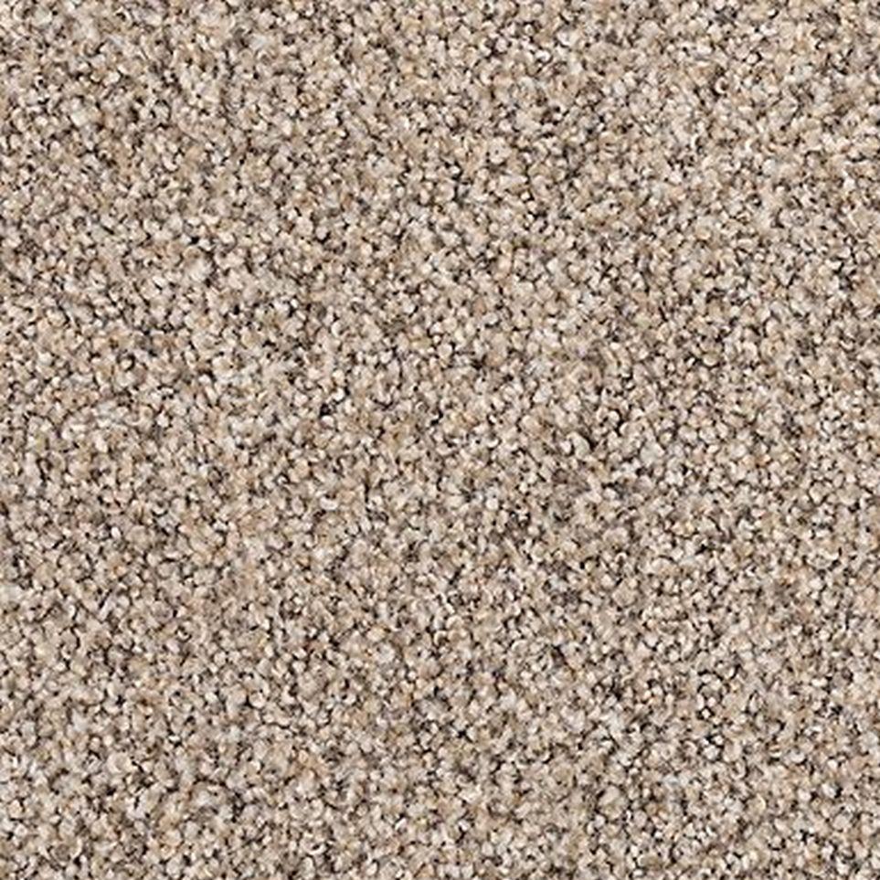Driftwood Mist Zoomed Swatch