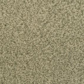 Semitones - Rain Forest Swatch