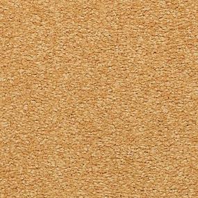 Somerset Bay - Tuscany Swatch