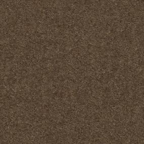 Heroic - Toffee Swatch