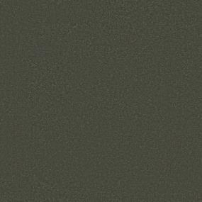 Boxwood Swatch Thumbnail
