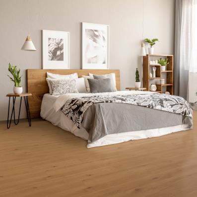 Room Scene