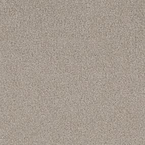 Canvasback Zoomed Swatch