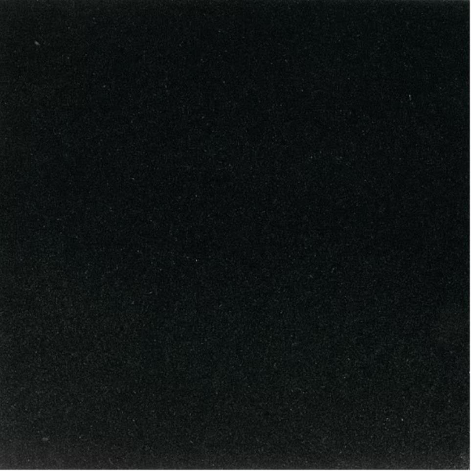 Granite Rectangle 12X24 Fl by Daltile - Absolute Black Flamed