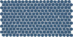 Keystones Organic Penny 1 Dm 12X22 MT Grp4