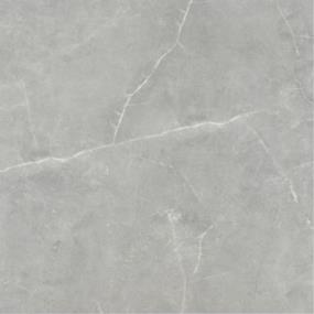 Sterlina II Matte 24X24 - Gray Swatch