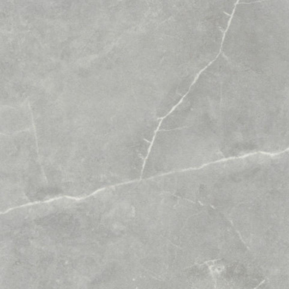 Gray Zoomed Swatch