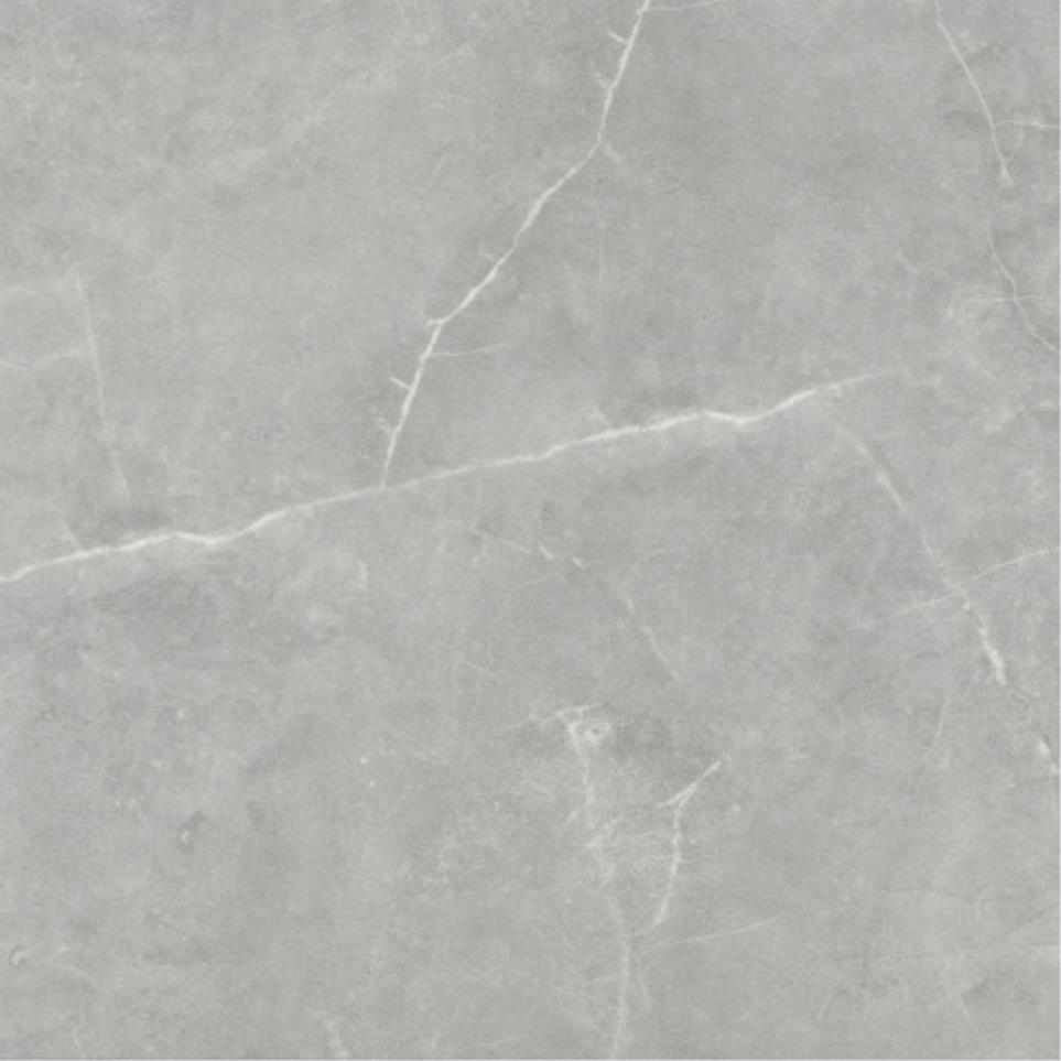 Sterlina II Matte 24X24